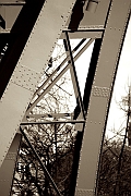 Wall_Art_Alphabet_Photography_Art_ 131